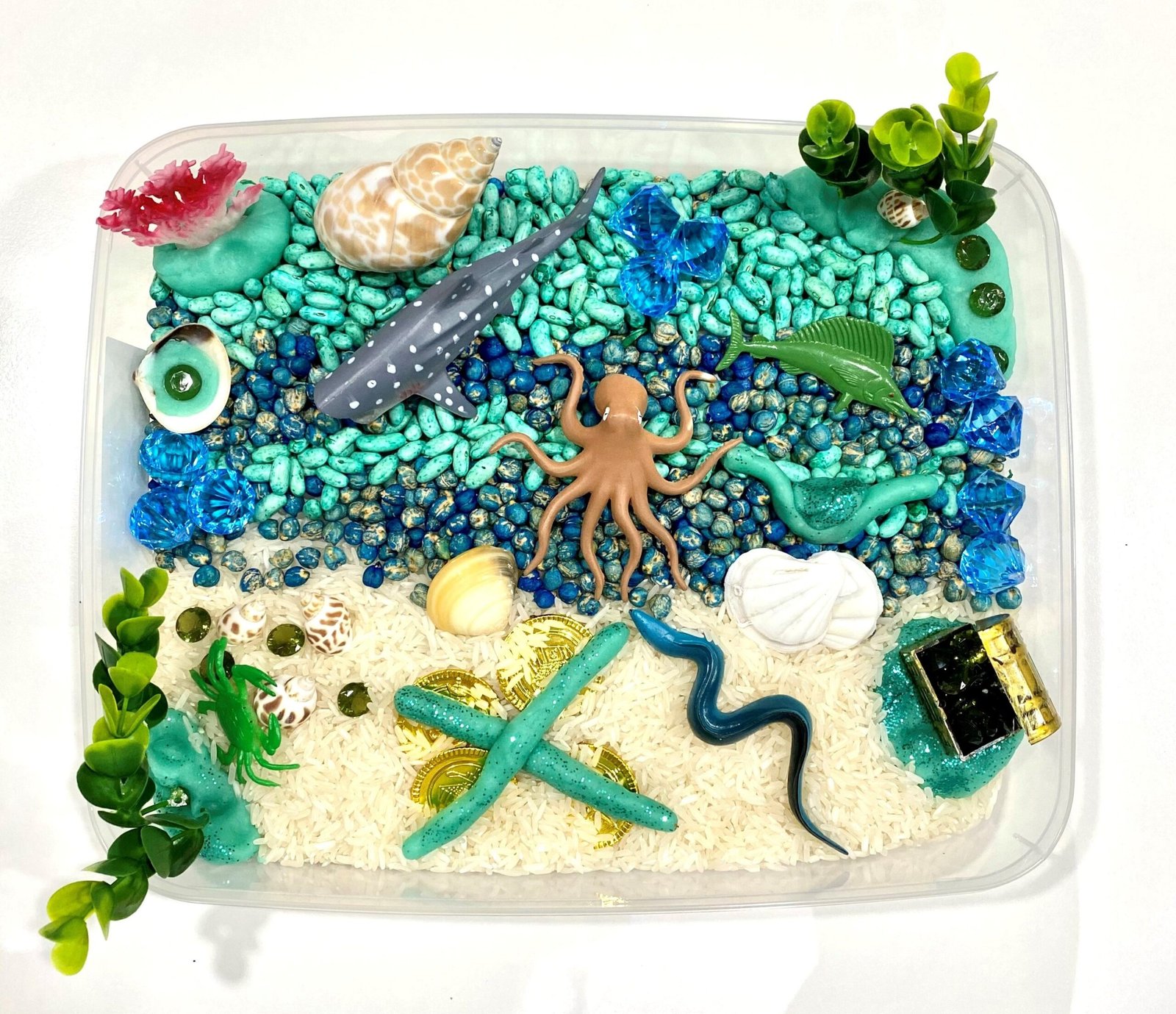 grains under the sea kit
